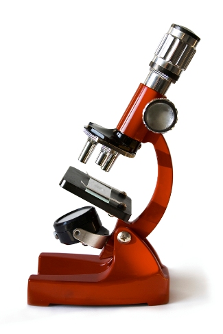 taking a closer look at the sciences